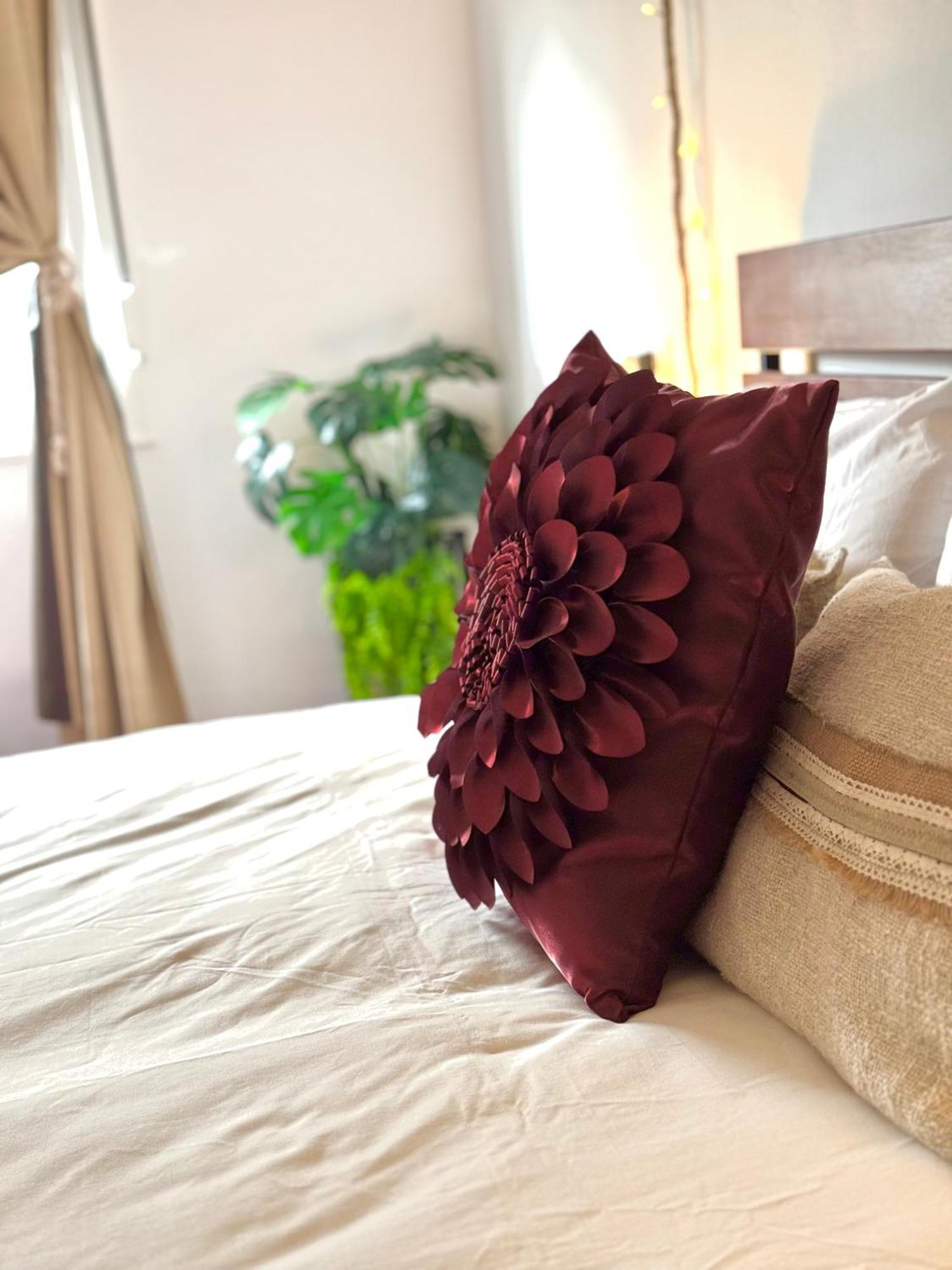 Lupita, Apartamento En El Centro De Vigo Dış mekan fotoğraf